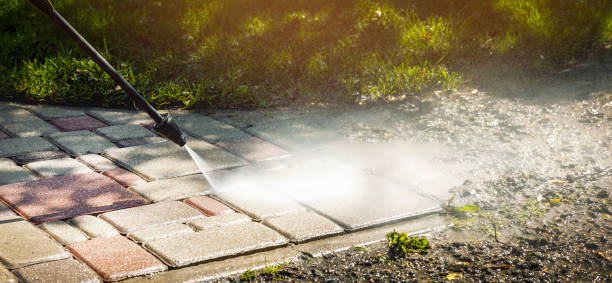 Best Gutter Cleaning  in French Mp, CA